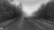foggy-road_15604992223_o