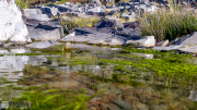 20150911_151435