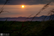 DSC_1948