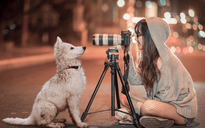Quel type de photographe êtes-vous?